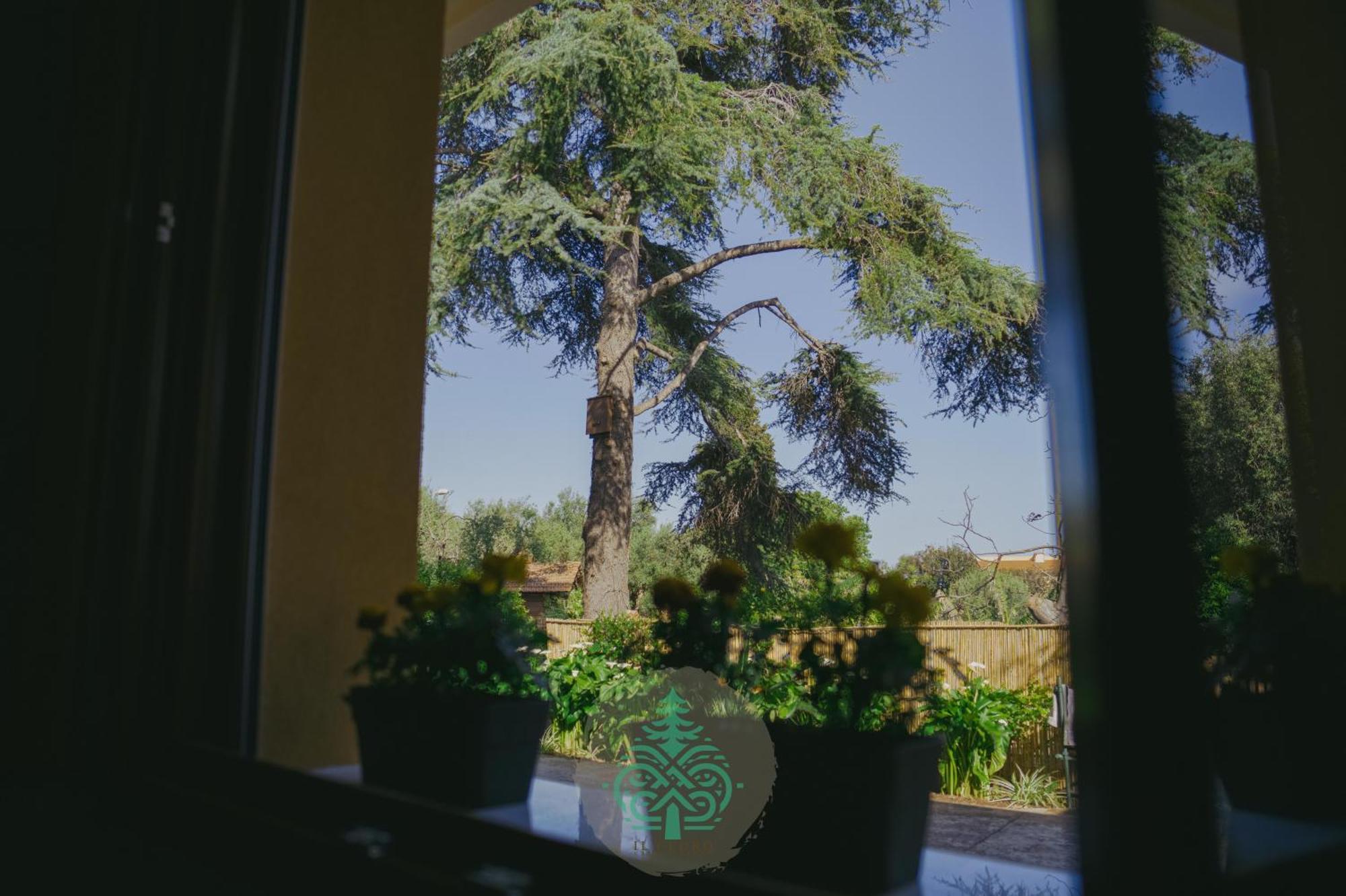 Holiday home Il Cedro